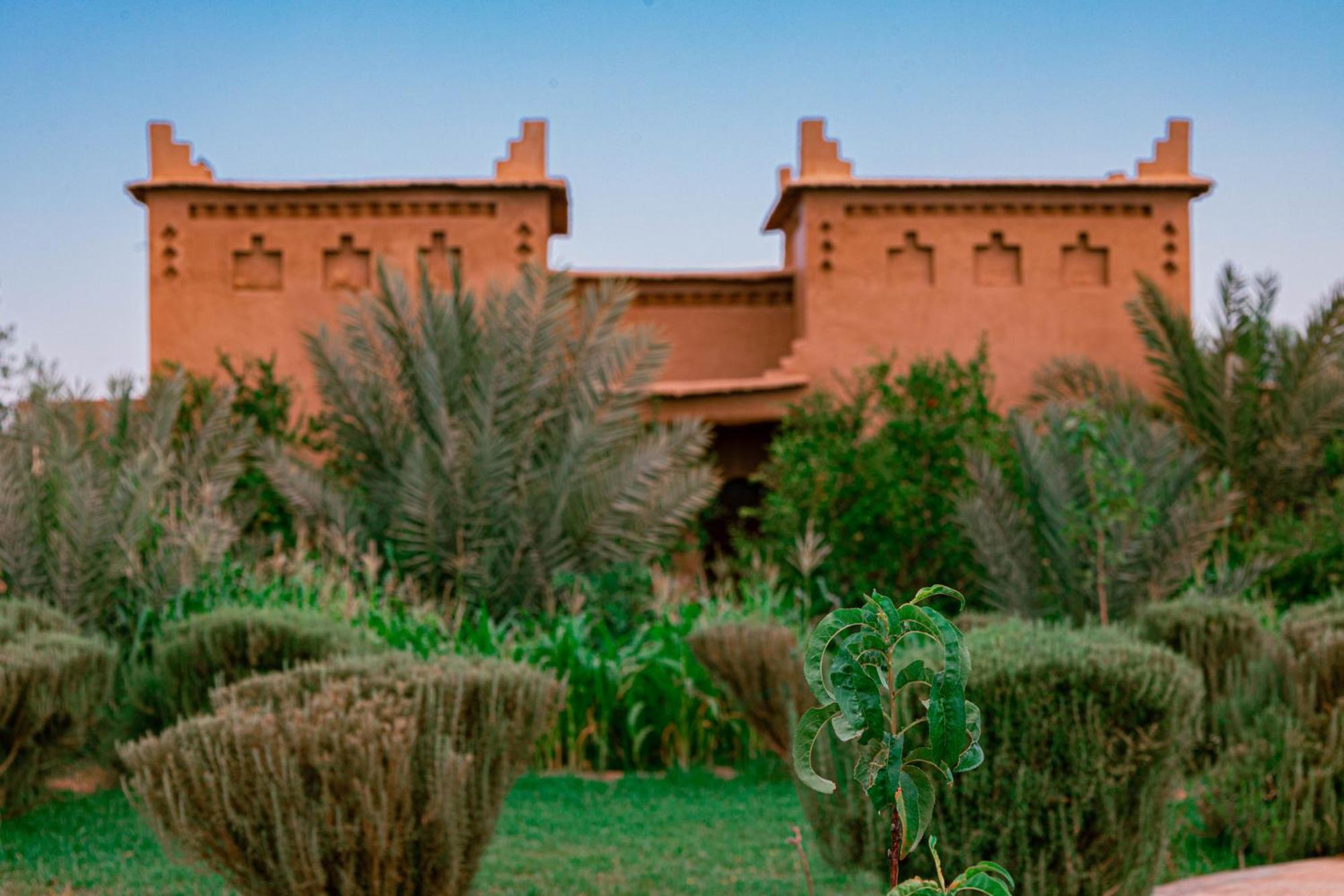 Maison D'Hote Amridil Skoura Esterno foto