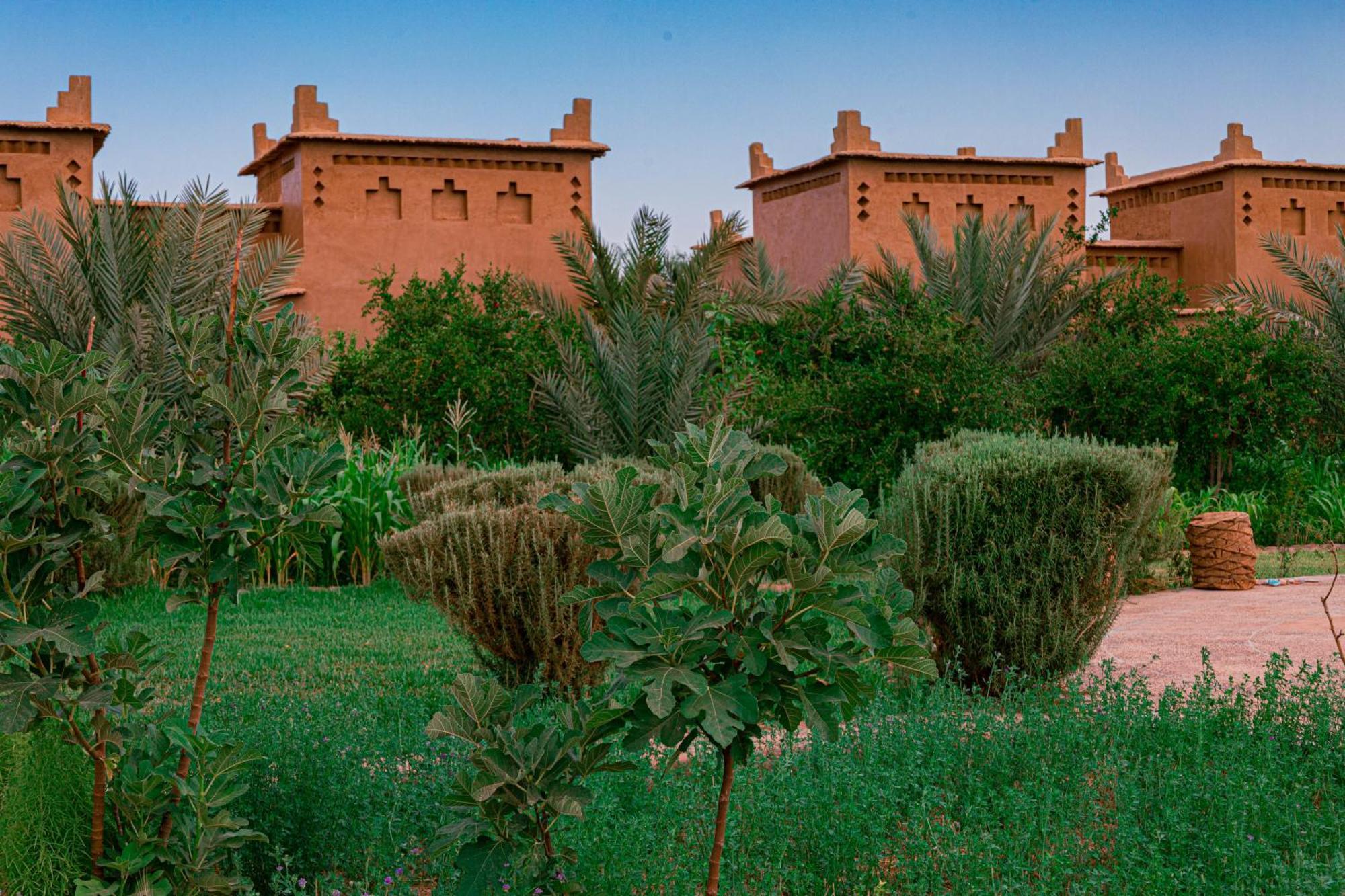 Maison D'Hote Amridil Skoura Esterno foto
